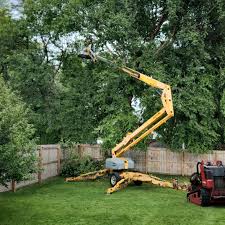 Artificial Turf Installation in Tipton, MO